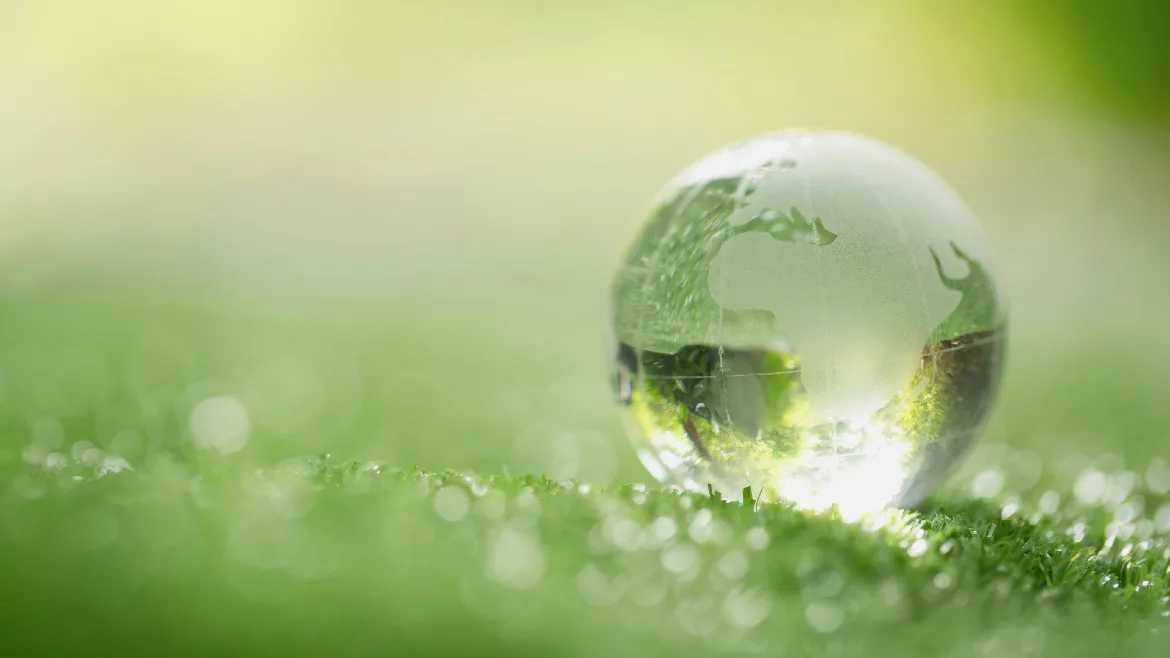 Globe on a grass floor