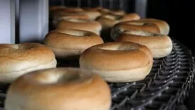 Bagels on conveyor