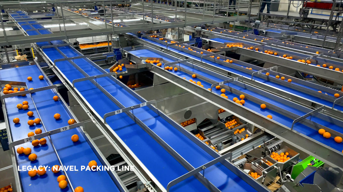 Legacy Navel Packing Line