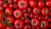 tomatoes