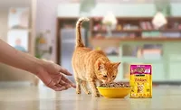 Nestle Purina Friskies Nestle Purina Friskies