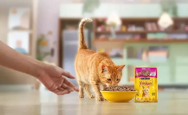 Nestle Purina Friskies Nestle Purina Friskies