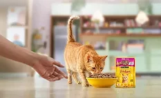 Nestle Purina Friskies