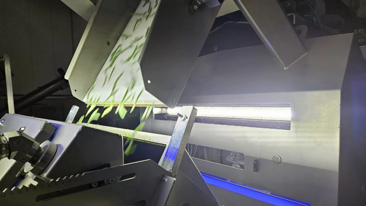 Key COMPASS Optical Sorter