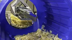 PPM Key Potato Chip Processing Line