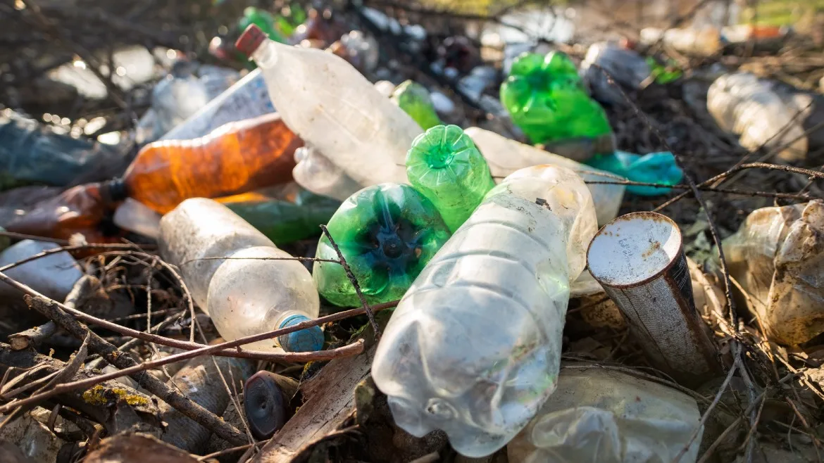 Bottles in landfill