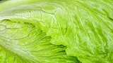 Iceberg lettuce