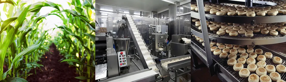 Farm to factory supply chain