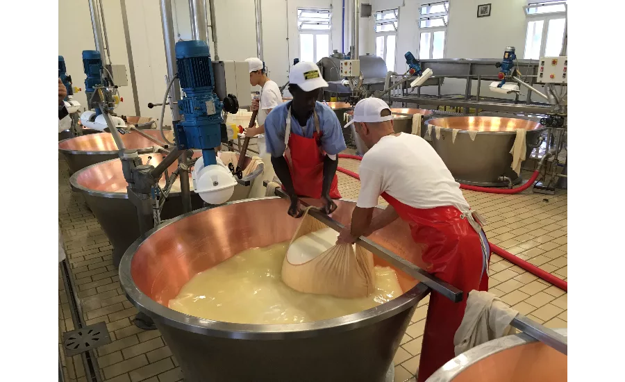 Cheese factory