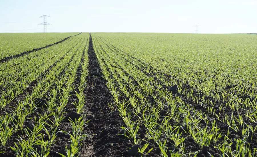 Kashi initiative incentivizes transition to organic farmland