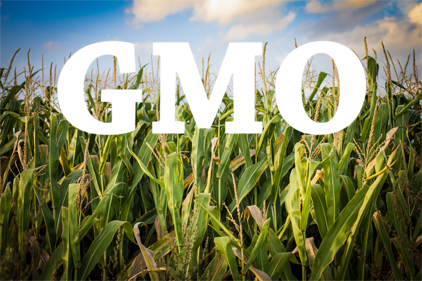 GMOs boasting health benefits have potential