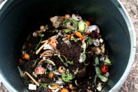 NYC Mayor Bloomberg proposes compulsory composting