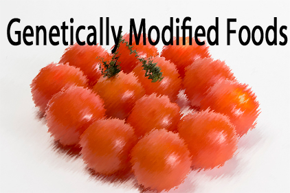 Washington State genetically modified foods debate down to the wire