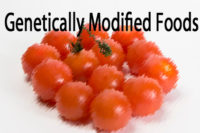 New voice emerges in the debate over genetically modified foods