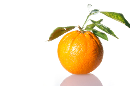 Organic industry talks to Congress on efforts to fight citrus greening