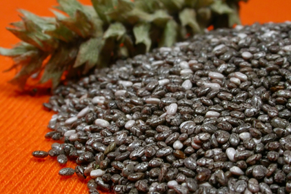 Canada recalls chia seeds with link to salmonella