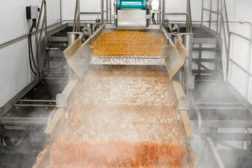Almond industry creates 100,000 California jobs