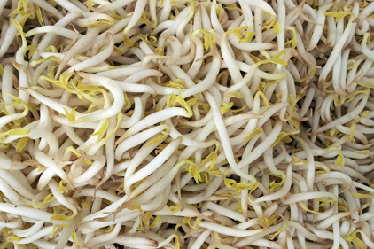 Salmonella in 10 states traced to bean sprouts