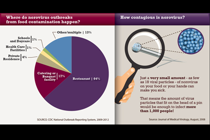 Norovirus leading cause of disease outbreaks from contaminated food