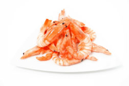 New study highlights misrepresentation of shrimp in US