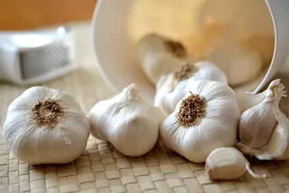 Garlic powder products recalled for Salmonella risk