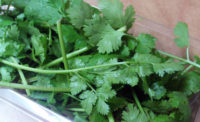 FDA issues ban on some Mexican cilantro