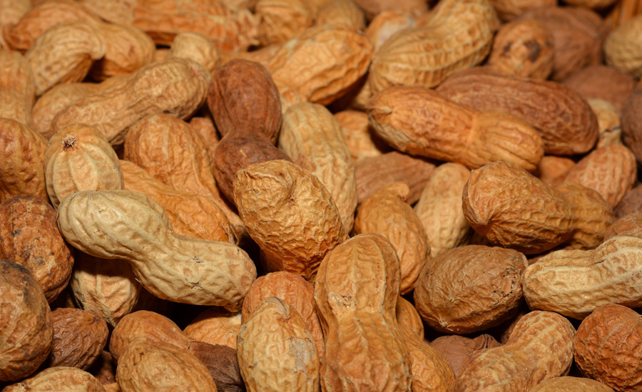 Allergen-free peanuts lead USDA report on new innovations