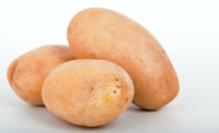 USDA approves Simplotâ??s genetically engineered potato