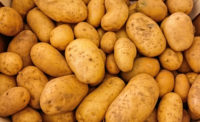 FDA gives safety approval for genetically engineered potato