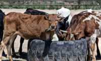 Cargill eliminates 20 percent of shared-class antibiotics used for beef cattle
