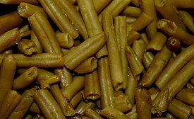 Utah woman finds snake head in green beans