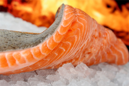 Consumers not interested in GMO salmon