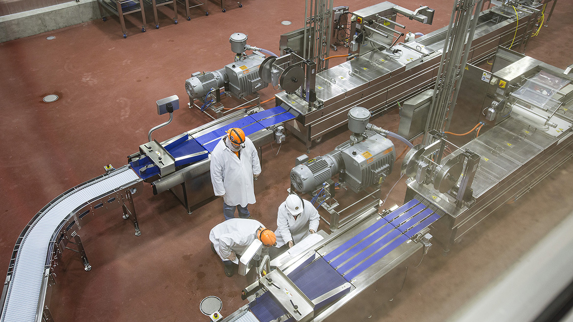 RTE facility conveyors