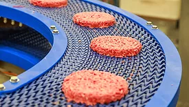 Conveyor belt carrying raw ground beef patties Blue conveyor belt carrying raw ground beef patties.
