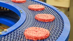 Blue conveyor belt carrying raw ground beef patties.