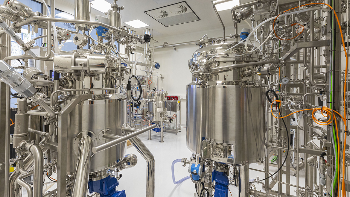 Inside The Cultured Hub