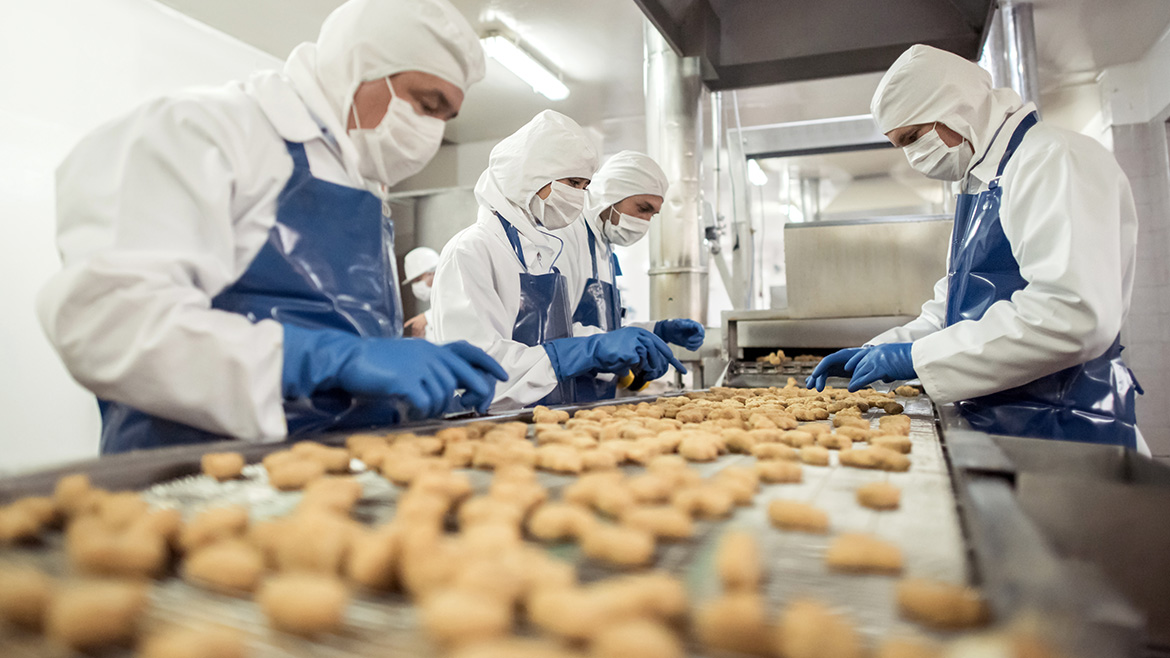 Group of workers in safety gear working at a food factory doing quality control on the production line.