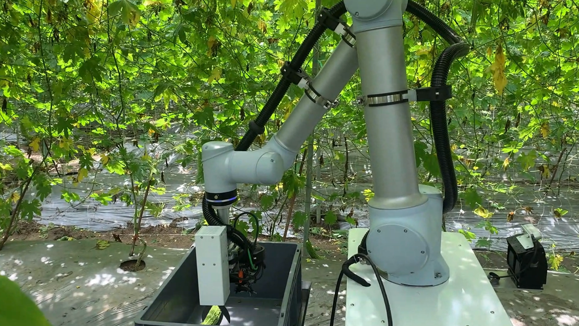 DUCO Robots fruit harvester