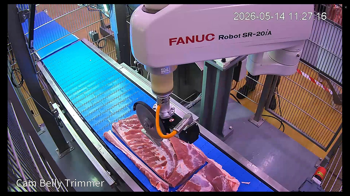 Frontmatec pork belly trimming