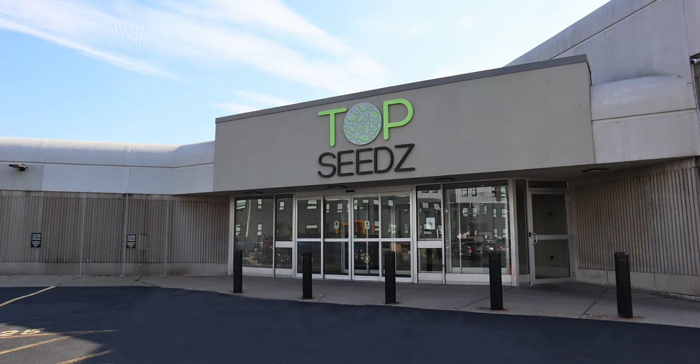 Top Seedz Plant Top Seedz Plant exterior