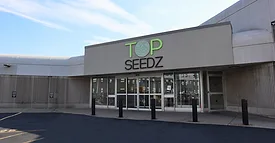 Top Seedz Plant exterior