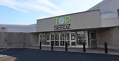 Top Seedz Plant exterior