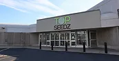 Top Seedz Plant exterior