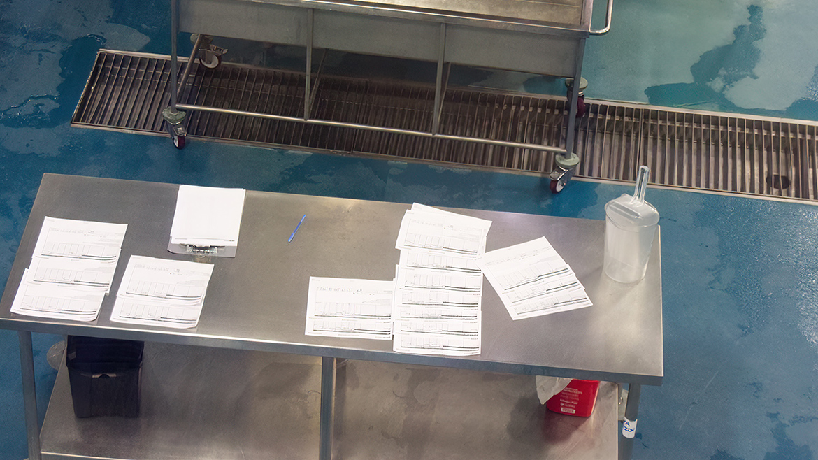 Paper sanitation records in neat rows on a stainless steel table.