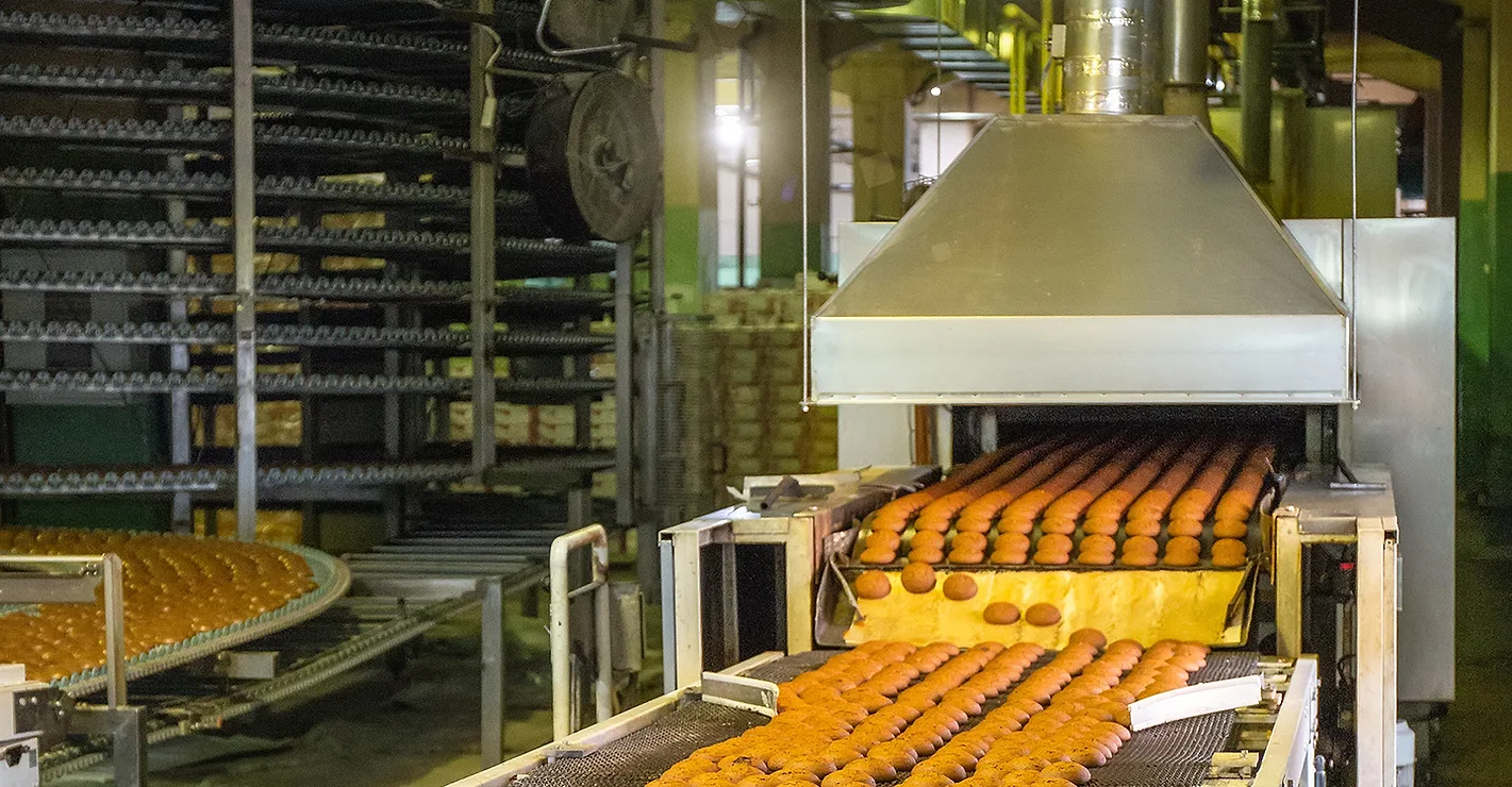 Bread going through conveyor Bread going through conveyor belt in manufacturing plant.
