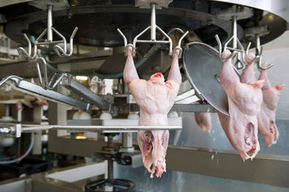 USDA appoints new members to committee on meat and poultry inspection