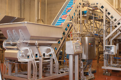 Plumrose USA Sustainable Plant of the Year