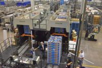 Alvey 910 palletizers get the Halos clementines ready to go to shipping