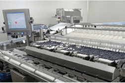Fresh and frozen fruit processors are the focus of a new high-productivity bag packaging system 