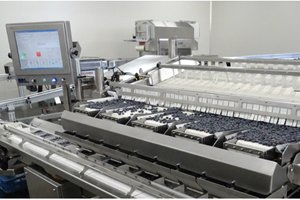 Fresh and frozen fruit processors are the focus of a new high-productivity bag packaging system